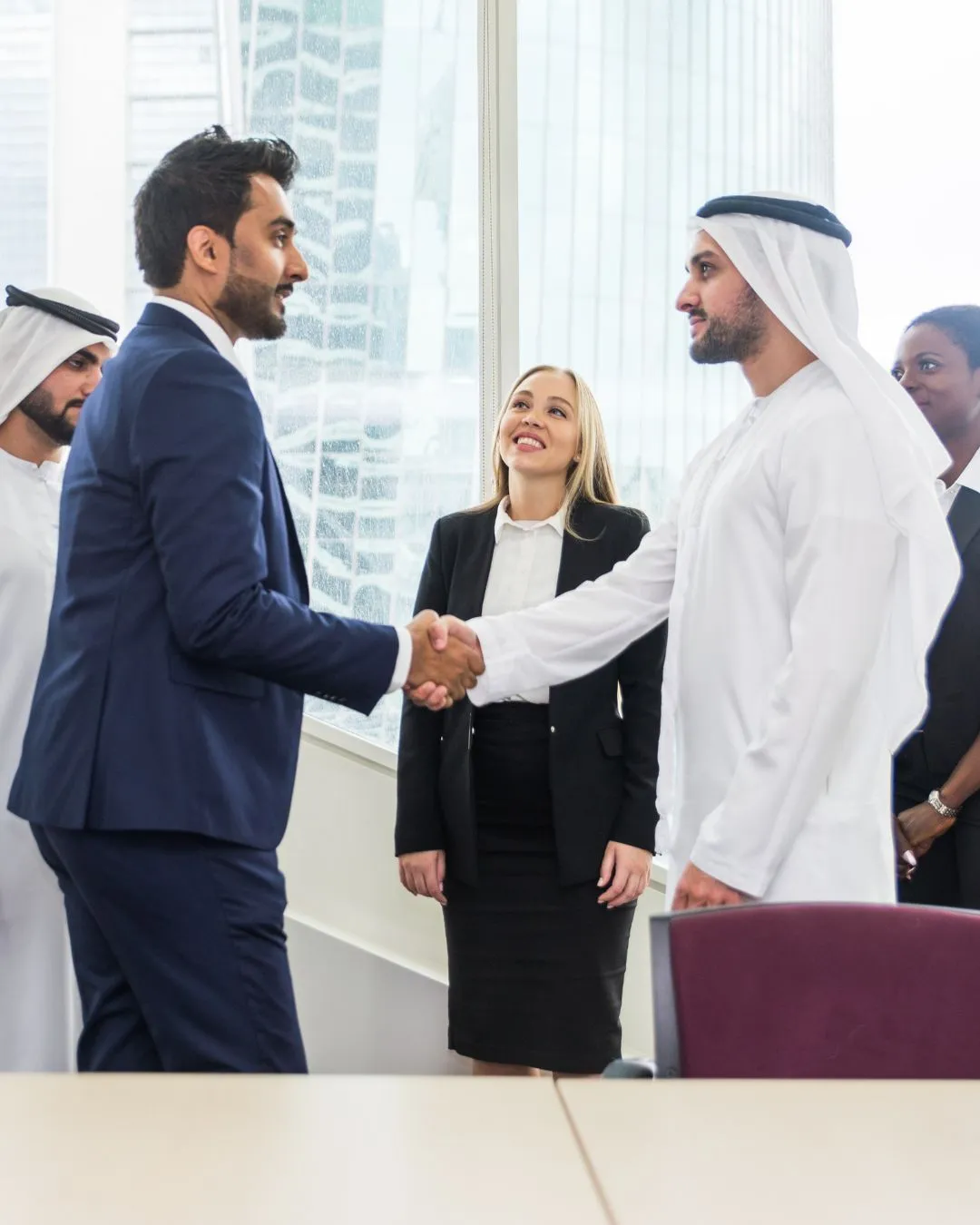 TRUVIS advisory discussion for investors and businesses in UAE